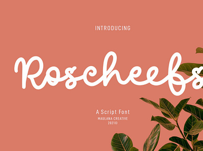 Roscheefs Script Font handwrittenfont scriptfont typeface typography