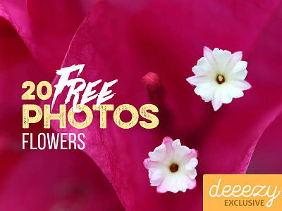 20 Free Flower Photos