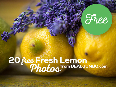20 Free Lemon Photos