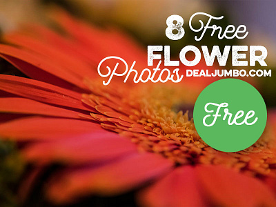 8 Free Flower Photos