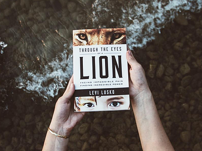 Through The Eyes of A Lion book art book cover book design