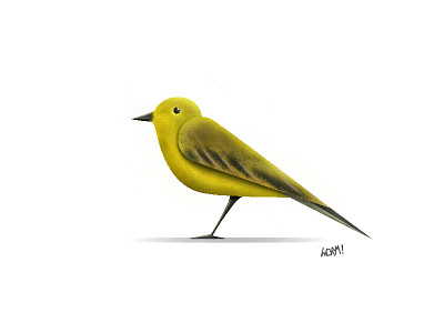 Yellow Wagtail bird fly nature vector wagtail yellow