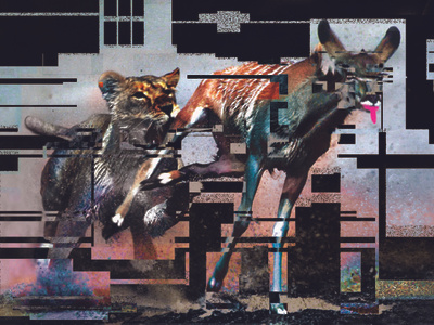 Glitch experiment animals error glicth photo glitch