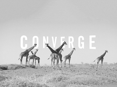 Converge branding exhibitions giraffe identity logo logotype safari tourism trek type