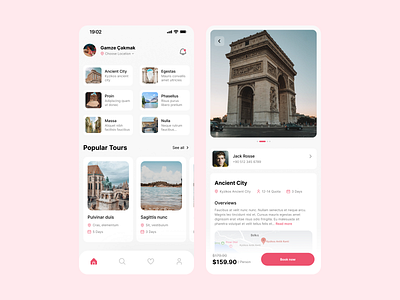 Tour App 2d 3d app application art branding concept design detail flat home illustration pink post tour ui ux vector white