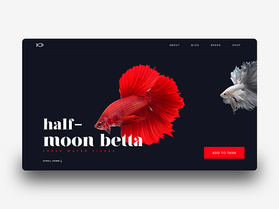 Landing page Interaction for web app fish fish website interaction interaction design interactive design landing landing page landing page design ux website