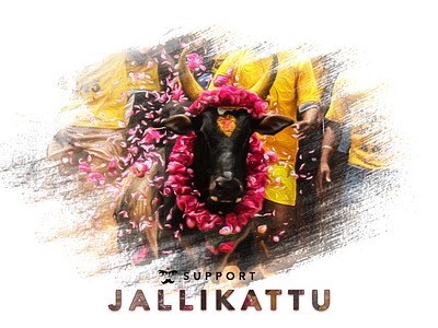 Support Jallikattu a be indian proved to