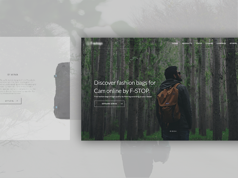 Online Bag Shopping site by sakin kumar on Dribbble
