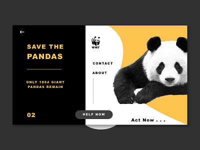 Panda amazing animal black card panda ui yellow