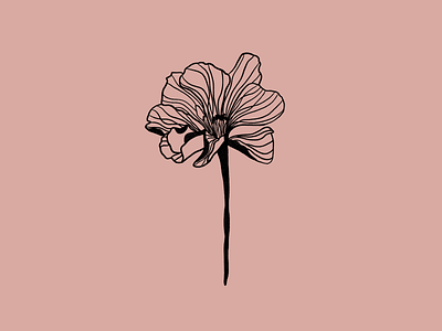 Line flower art colors design illustartion illustration line line art line illustration line illustrations lines minimalism procreate procreateapp rose rose gold