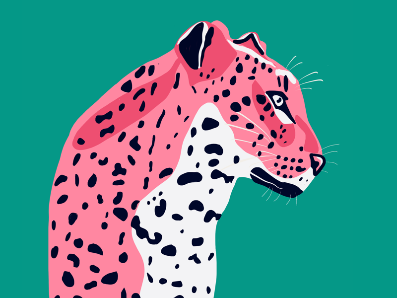 Leopard illustartion by Lelka on Dribbble