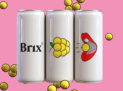 Brix Branding branding design graphic design minimal modern packaging packaging design photography product design typography wine