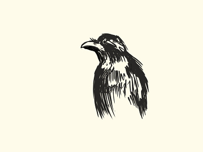 Lonely Crow crow crow logo drawing ink drawing logo logo icon