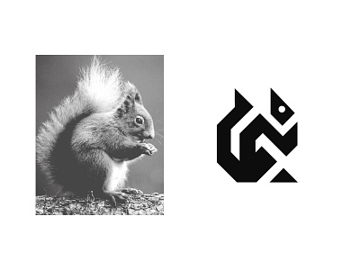 Geometric Squirrel abstract squirrel logo animal logo branding brandmark businesses design geometric animal logo geometric squirrel geometric squirrel logo icon logo logo design logo for sale logo from image minimal logo polygon squirrel logo solid animal logo squirrel logo triangle squirrel logo