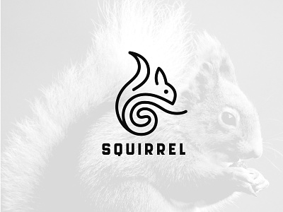 Squirrel Logo animal line logo branding brandmark creative squirrel logo design icon line logo logo logo design logo for sale minimal logo minimalistic logo simple animal logo simple line logo simple squirrel logo squirrel squirrel logo