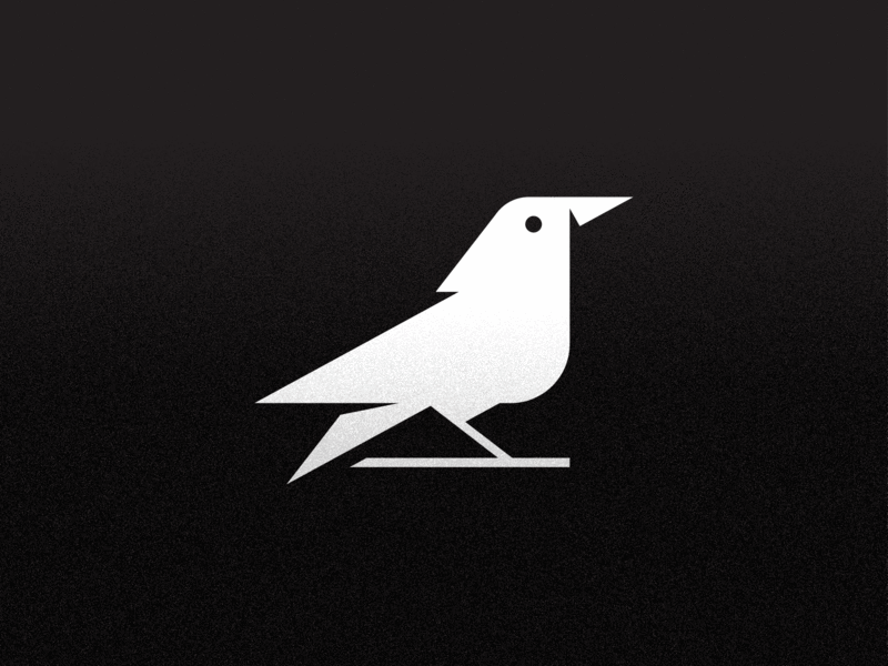 Geometric Raven Logo animal animals animals illustrated bird black white clean crow geometry icon illustration logo mark raven sharp