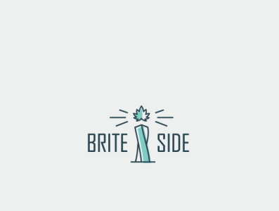 Brite Side Logo Design