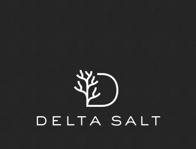 Delta Salt Custom Logo design logo