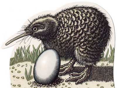 'Little Spotted Kiwi' for a museum fundraiser