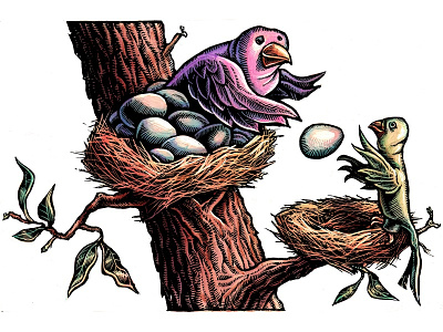 “Mutual Funds With a Conscience” birds business charity financial illustration lisa haney mutual funds nest nest egg