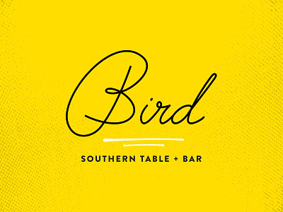 Bird Logo custom type jazzy type logo make it pop yellow put a bird on it restaurant branding tubular