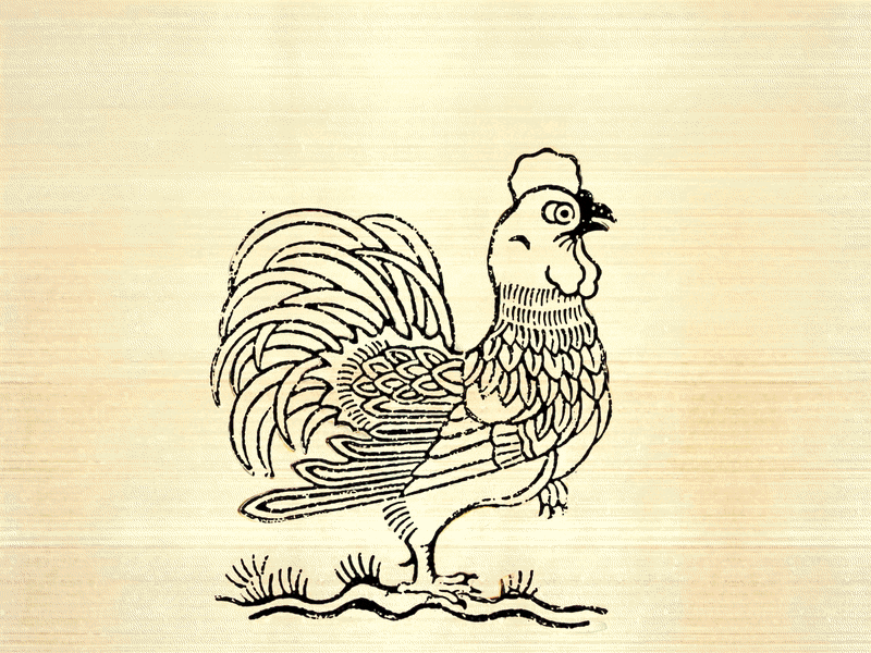 chicken Dong Ho painting adobe ae chicken dong ho folk painting morning motion motion graphic