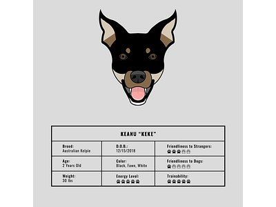 Keke the Kelpie art graphicdesign illustration illustrator logo poster vector