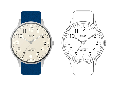 Timex Waterbury flat illustration linedrawing quartz simple time timex typography watch waterbury