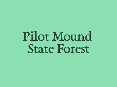 Pilot Mound State Forest branding challenge design forest logo logotype opentypefoundry typeface typography