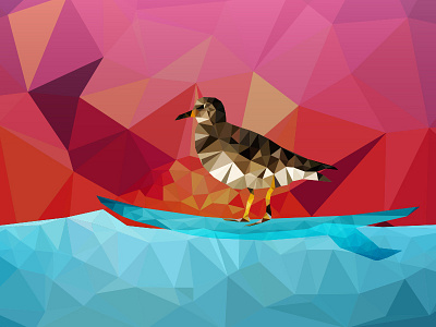 Nam Nam (2/3) bird birdy nam nam nam nam sunset surf surfbird surfing threadless waves