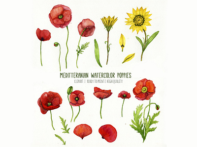 Mediterranean puppies clipart illustration poppies print textile