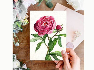 Juicy watercolor peony clipart hand painted illustration peony pink print