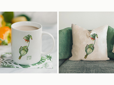 Botanical design by watercolor clipart clipart cup illustration succulent textiledesign