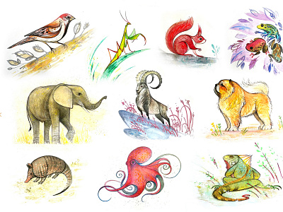 Various animal sketches 2d animal art illustration painting sketch traditional art