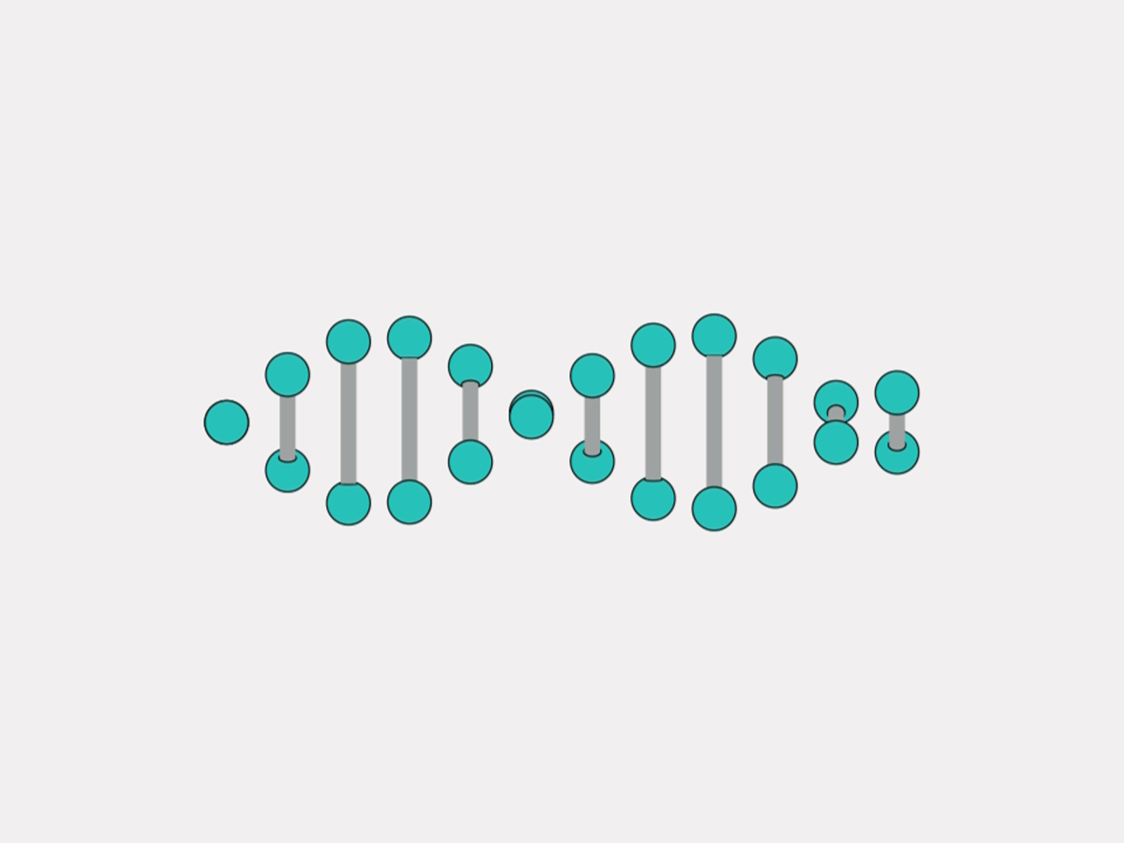 DNA adn animation cell dna loop rna spiral