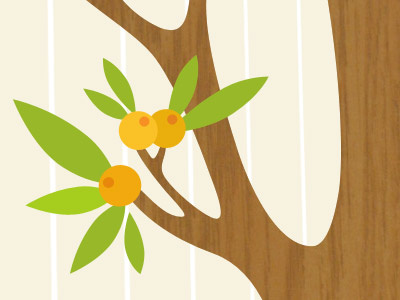 Loquat fruit illustration leaf leaves tree wood