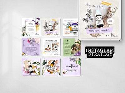 Instagram Strategy (Nutrition & Wellness)