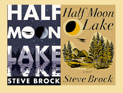 Book Cover Design for HALF MOON OVERLOOK best book covers 2022 branding visibility peter selgin