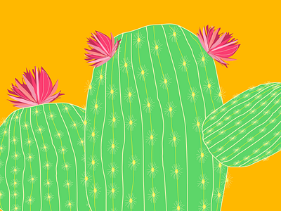 CACTUS botany cactus design graphic design illustration popart vector