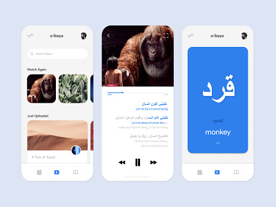 Aribaya app app design figma language learning ui ux