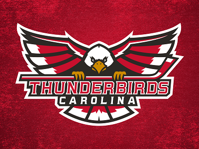 Carolina Thunderbirds bird black branding hockey logo mascot north carolina red sportsbranding sportslogo thunderbirds