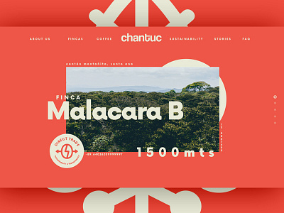 Chantuc Coffee - Fincas Profile Page branding coffee header keynote landing navigation presentation slide slider ui ux web