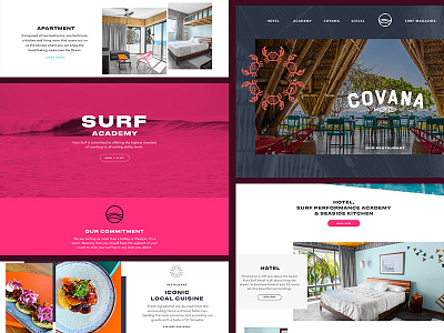 Surf Website Preview