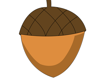 nut illustration
