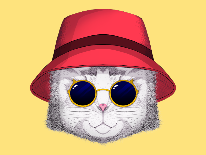 Swag Cat by Christian C on Dribbble