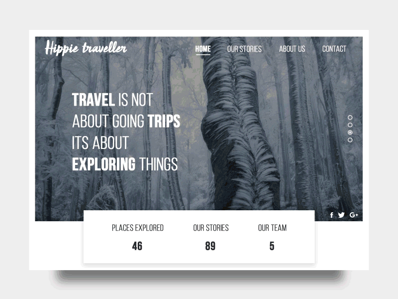 Hippie Traveller Travel Landing Page landing page places team travel traveller ui web