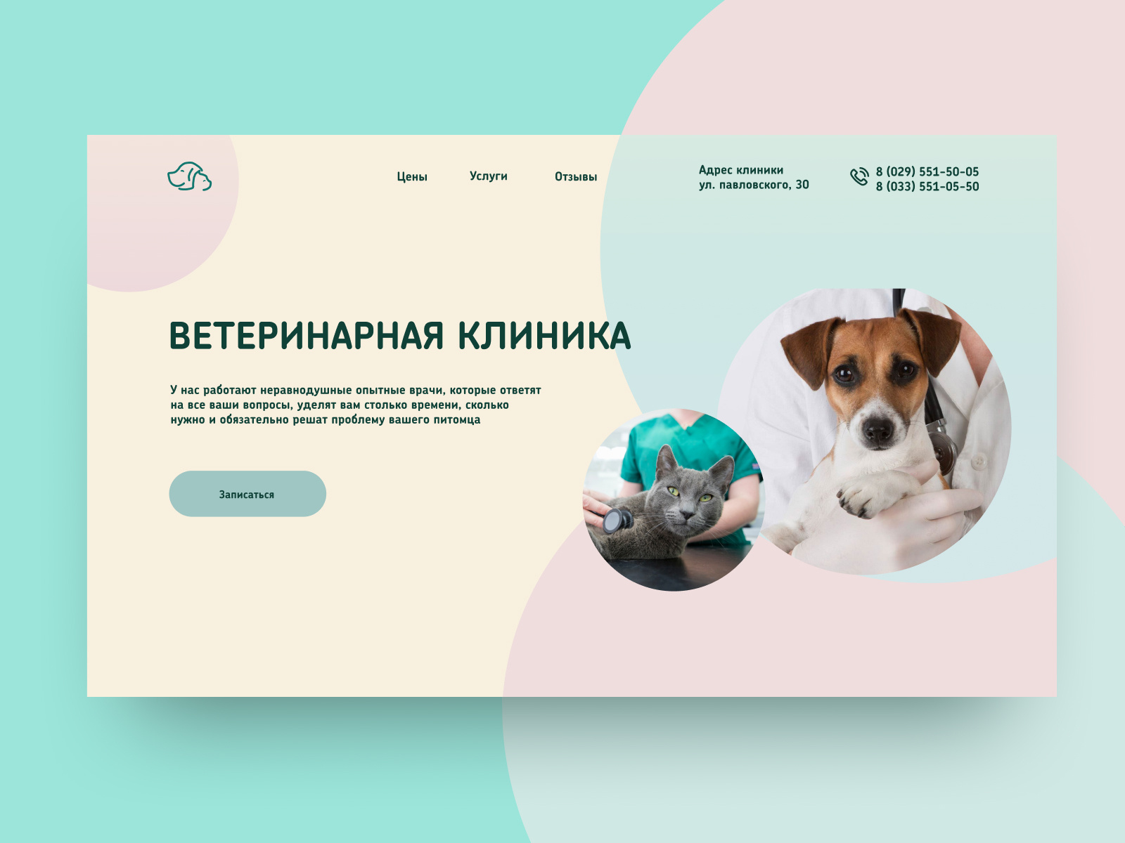 Ветеринарная клиника by Bogomolova Ann on Dribbble