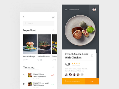 Cookbook App Interface Concept