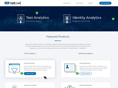 Netowl Home Page branding design graphic design ui ux