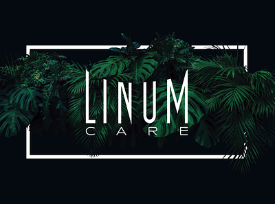 Linum Care Logo & Visual Exploration branding graphic design illustration logo typography vector